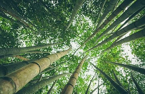 Image used for representational purpose