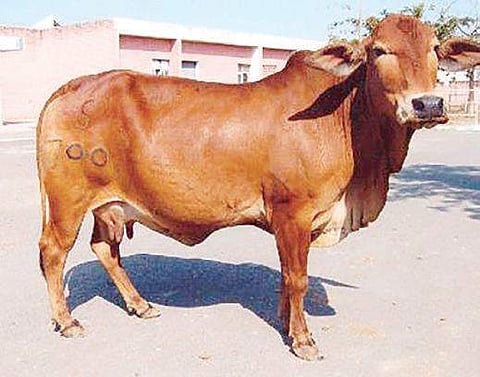 Image used for representational purpose only