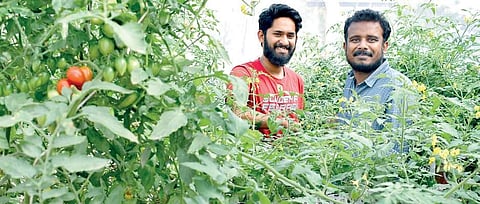 Farming in heart of ‘dying’ city