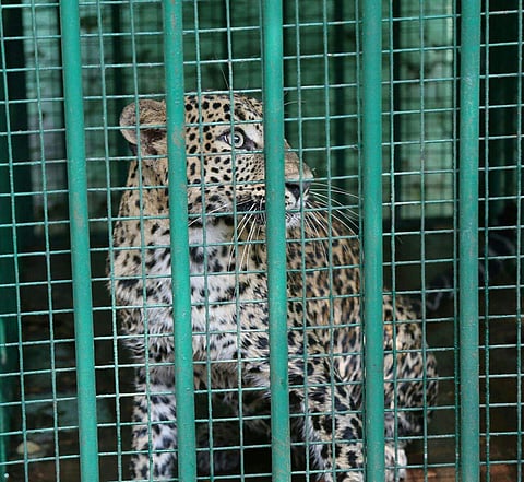 Image used for representational purpose. (Express Photo Service)