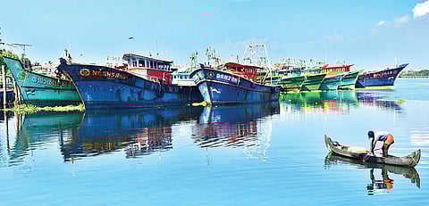 Image for representational purpose only| Albin Mathew