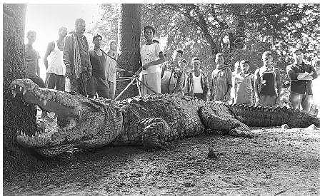 Image for representational purpose only | EPS