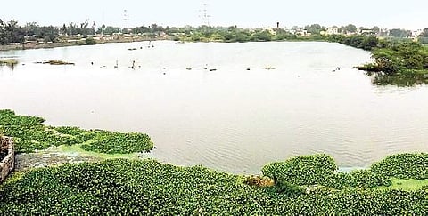 The Villivakkam Lake that will be developed into an eco-tourist spot | P Jawahar