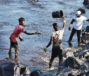 Ripples of oil spill reach Neelankarai