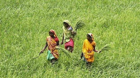 Representative Image.