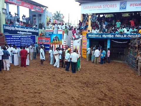 The town of Alanganallur in Madurai geared up early Thursday morning to witness the much awaited bull-taming sport of jallikattu. | EPS