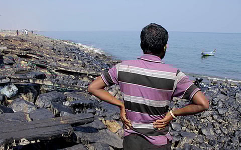 In a shocking revelation it was found that the oil sludge removed from the Chennai's shores during the clean-up operations were buried in pits close to the sea in fishing hamlets near Kasimedu, north of the city. (Ashwin Prasath | EPS)