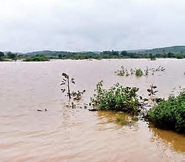 The lake in Lingampally which will be submerged for the reservoir | Express