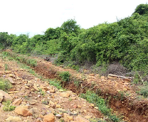 Image for representational purpose only. | EPS