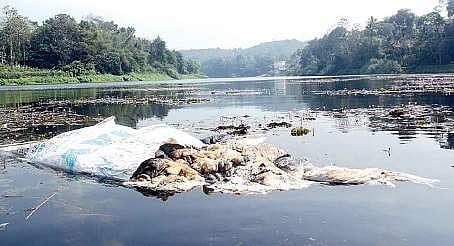 Muvattupuzha river pollution: Meeting called