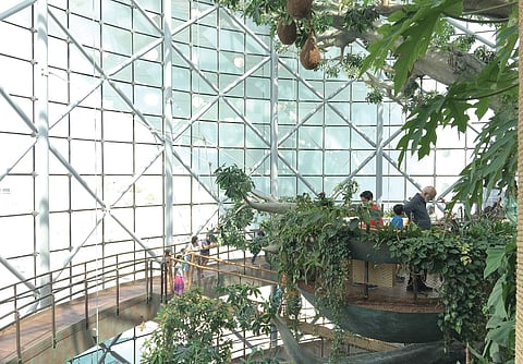 The bio dome