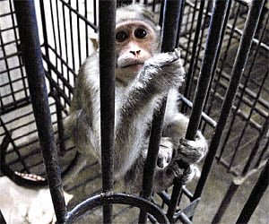 Image for representational purpose only