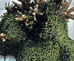 File photo for representational purpose