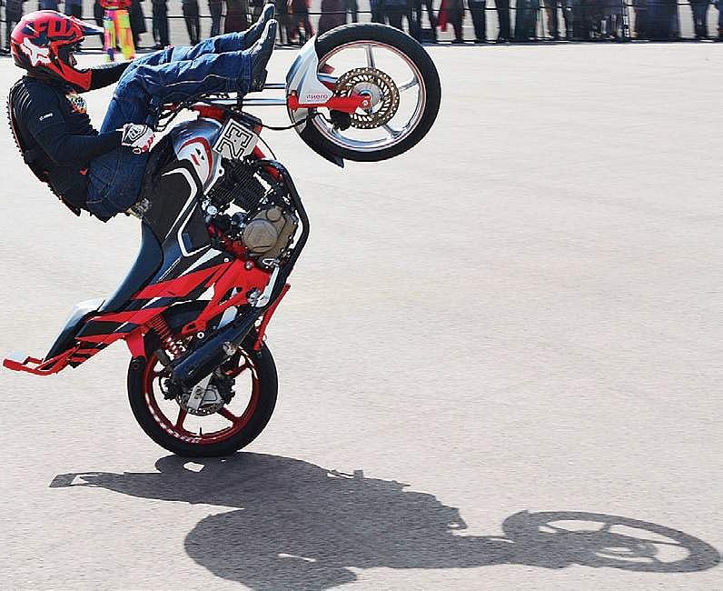 Going wild with wheelies