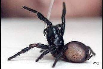 Image for representational purpose only.