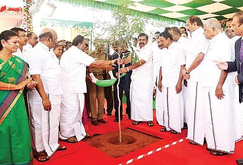Chief Minister K Palaniswamy launching the green drive to plant 69 lakh saplings at the Multi-Super Speciality Hospital at Omandurar Estate on Friday | Express