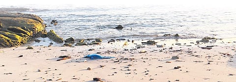 Do your bit for the environ, even when you travel!