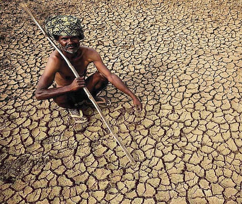 Kerala braces to battle deadly drought