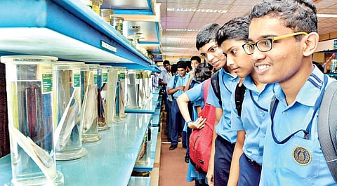 School students catching a glimpse of the various exhibits placed at the CMFRI museum in Kochi on Friday | Express