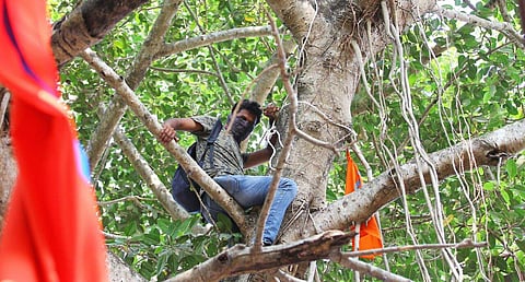 A student of Kerala Law Academy Law College in Thiruvananthapuram today climbed atop a tree, threatening to commit suicide demanding that controversial principal Lakshmi Nair resign from her post. KLALC, which turns 50 next year has been in the spotlight 