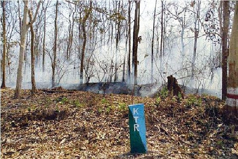 Kulgi range in Kali Tiger Reserve saw one of the worst fires in recent times
