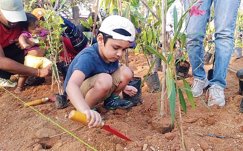 Children take part in the tree planting drive organised in Hosur on Sunday | Express