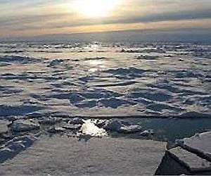 Arctic sea ice. (File photo | PTI)