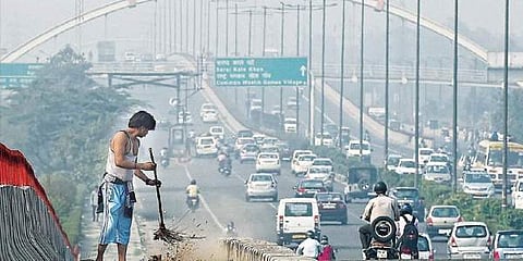 Delhi city to have tree adoption policy soon