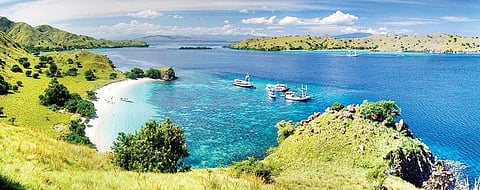 Flores Island harbour;