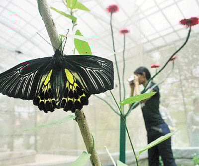 Image used for representational purpose only. (File photo)