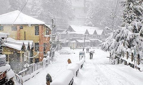 A golden winter in almora