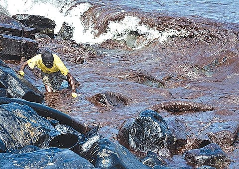 File picture of a volunteer cleaning the oil spill off Ennore Port