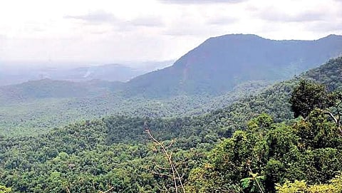 Image for representation only.