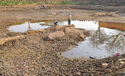 Environmentalists say lakes can be revived using wetland technology, where an artificial wetland is created to treat waste water | jithendra m