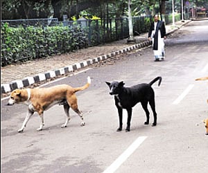 Image used for representational purpose.