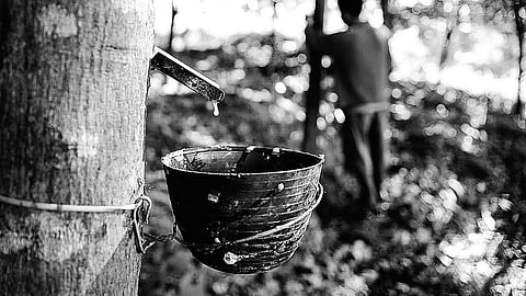 Rubber industry calling!