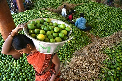 Watermelon, Oranges, Plums, Lychee, Figs and Guava are some of the seasonal fruits that are consumed during summers in the country. (R Satish Babu | EPS)