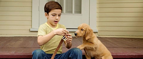 A still from the movie (Photo | AP)