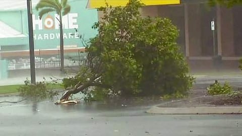 In this image made from video, tree debris lies on the street as wind gusts in Bowen, eastern Australia on March 28. (File Photo | AP)