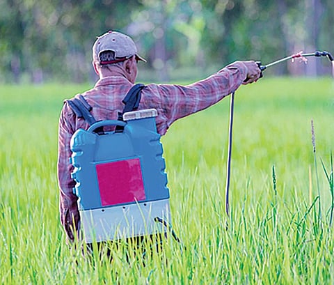 Endosulfan compensation.