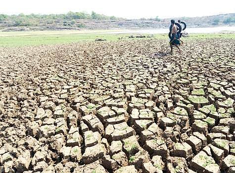 Image for representational purpose only. (File Photo | EPS)