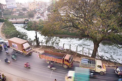 A thick blanket of froth covering Varthur lake in Whitefield area  |Nagaraja Gadekal