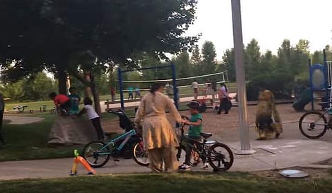 Screenshot of the video on an anti-immigration website, showing Indian families relaxing in Columbus, Ohio.