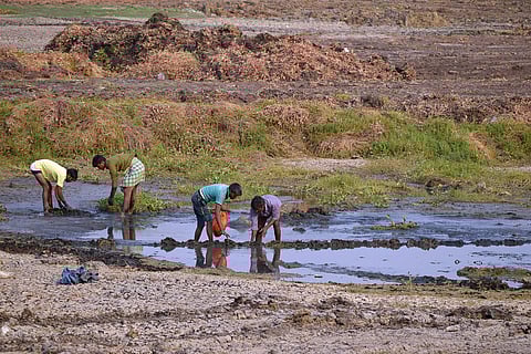 Water in Agara lake has been pumped out and desilting is being carried out as part of rejuvenation efforts. | (Jithendra M | EPS)