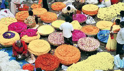 Floriculture wilts as temperatures soar, water scarcity adds to misery