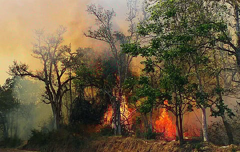 For representational purpose | EPS