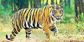 Image for representational purpose only.