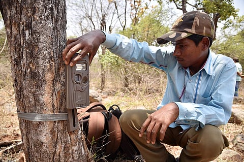 Camera traps installed at Telangana's Amrabad Tiger Reserve for intensive monitoring