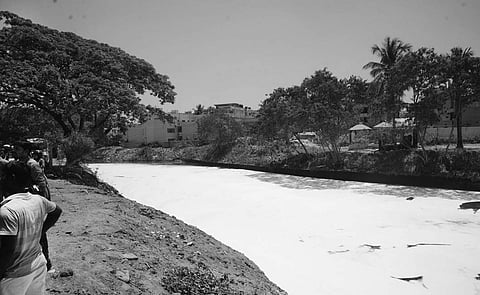 All industries in the vicinity of Bellandur Lake are directed to be closed