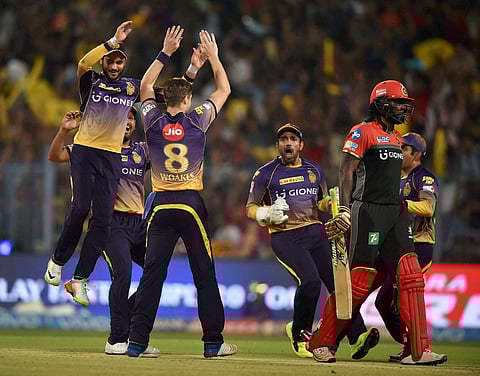 KKR celebrating after the wicket of RCB batsman Chris Gayle falls. (PTI)